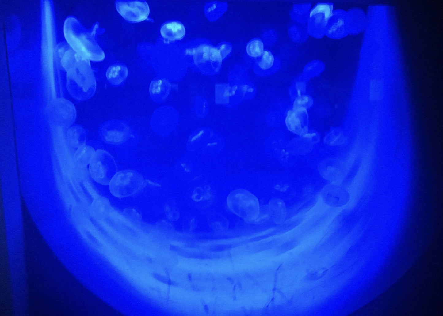 Fine Art Print mounted on board in clear bag - architectural photography